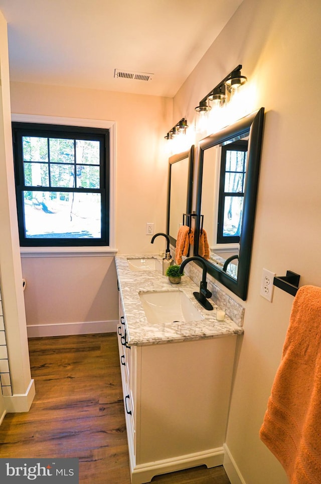 bathroom with wood-type flooring and vanity