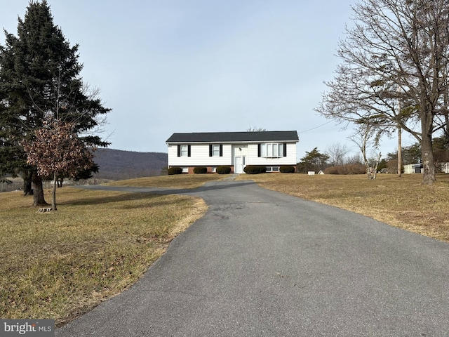 bi-level home featuring a front lawn