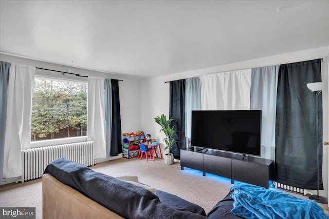 living room with radiator and light carpet