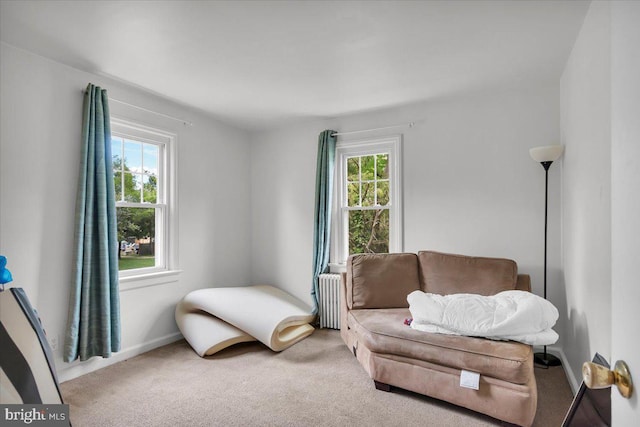 living area featuring radiator heating unit and carpet floors