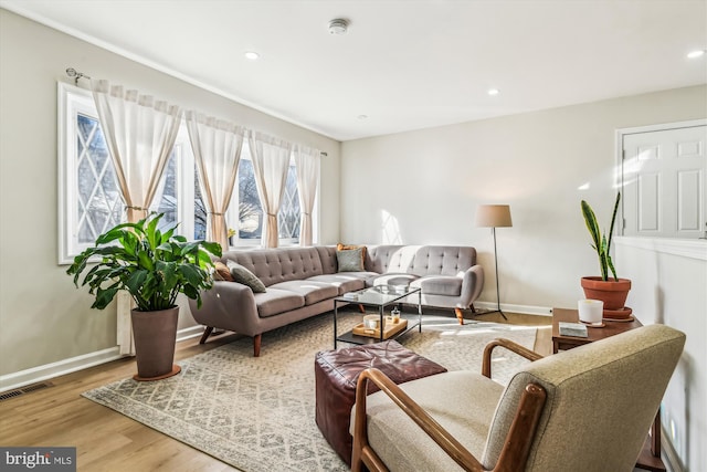 living room featuring wood-type flooring