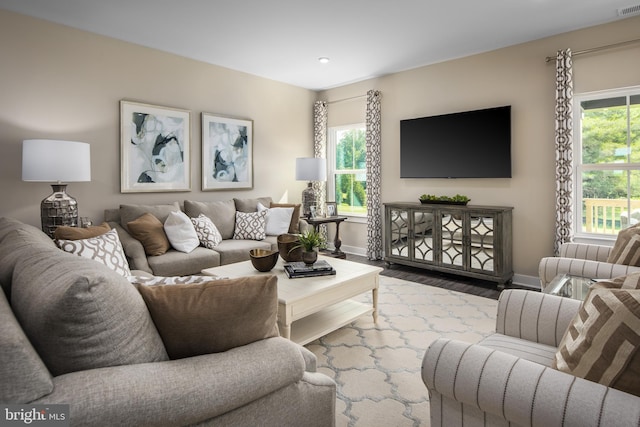 living room featuring hardwood / wood-style flooring