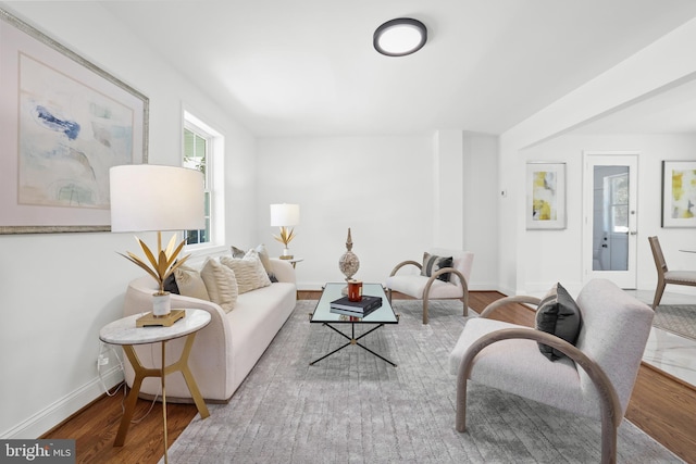 living room featuring hardwood / wood-style floors