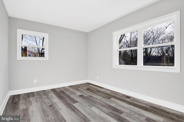 spare room featuring wood-type flooring