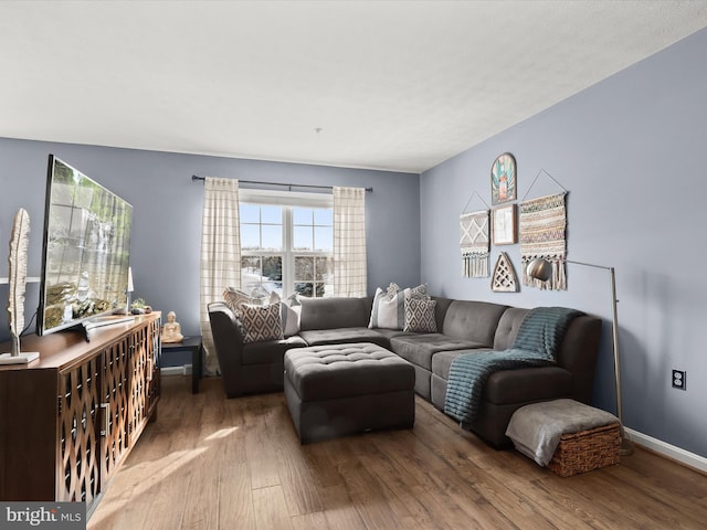 living room featuring hardwood / wood-style flooring