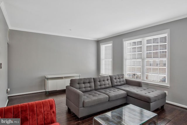 living room featuring crown molding and dark wood-type flooring