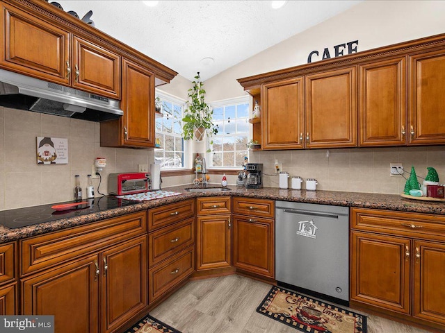 kitchen featuring light wood-type flooring, dark stone counters, vaulted ceiling, stainless steel dishwasher, and sink