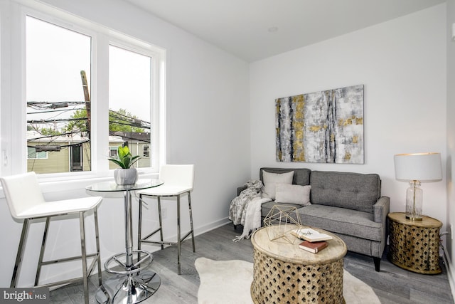 living room with wood-type flooring