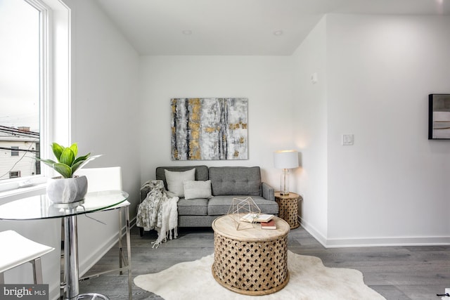 living room with dark hardwood / wood-style flooring