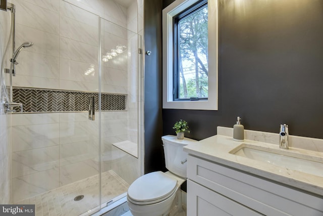 bathroom with toilet, vanity, and a shower stall