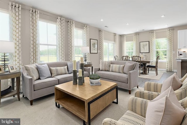 living room featuring plenty of natural light