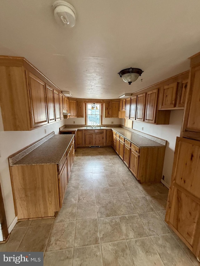 kitchen featuring sink