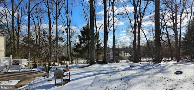 view of yard layered in snow