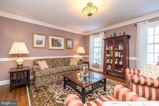 living room featuring ornamental molding and wood-type flooring