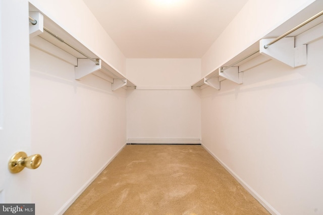 walk in closet featuring light carpet and a baseboard radiator