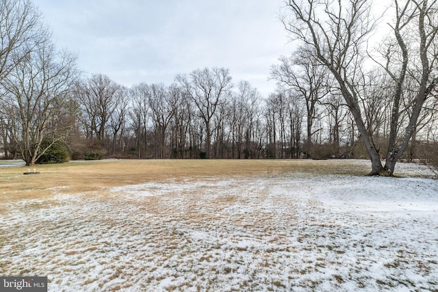 view of snow covered land