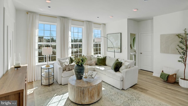 living room with light hardwood / wood-style floors