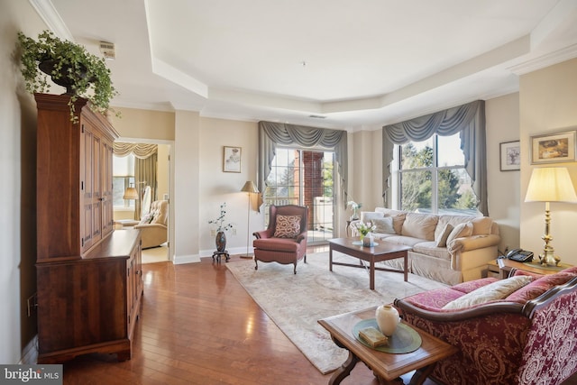 living room featuring wood-type flooring and a tray ceiling