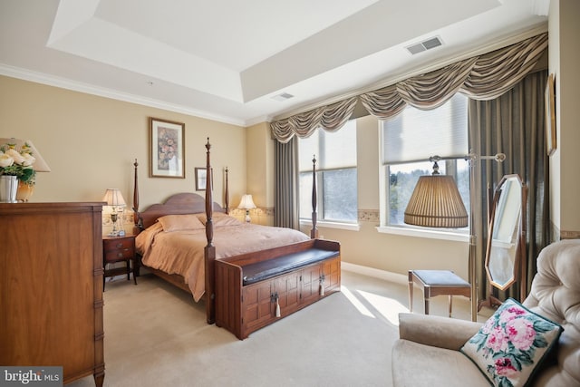 carpeted bedroom featuring a raised ceiling