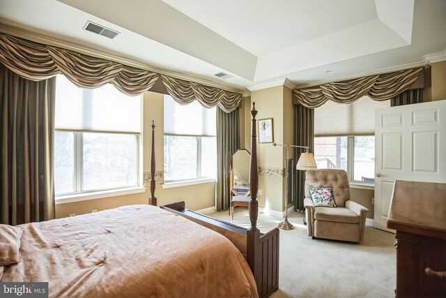 carpeted bedroom featuring a raised ceiling