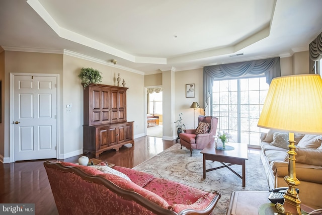 living room featuring hardwood / wood-style flooring, ornamental molding, and a tray ceiling