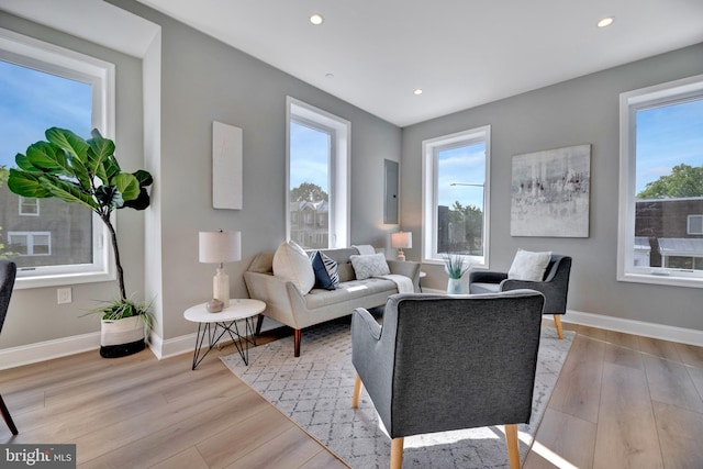 living room with light wood-type flooring