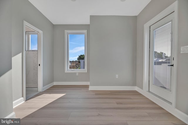 foyer with plenty of natural light and light wood-type flooring