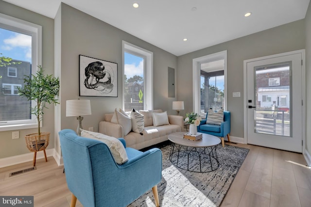 living room featuring light wood-type flooring