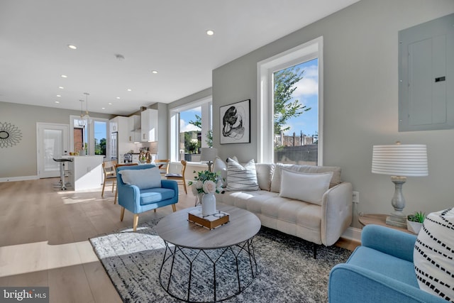 living room featuring electric panel and light hardwood / wood-style floors