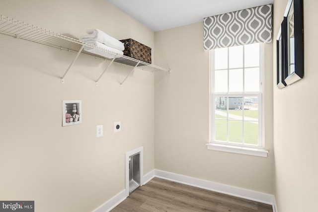 laundry area featuring electric dryer hookup, hookup for a washing machine, and wood-type flooring