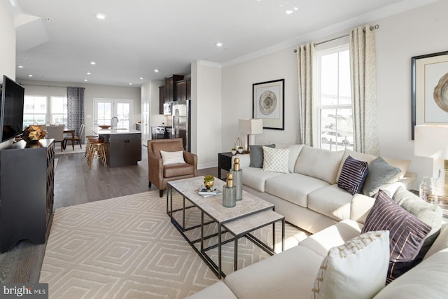 living room with crown molding, sink, and light hardwood / wood-style floors