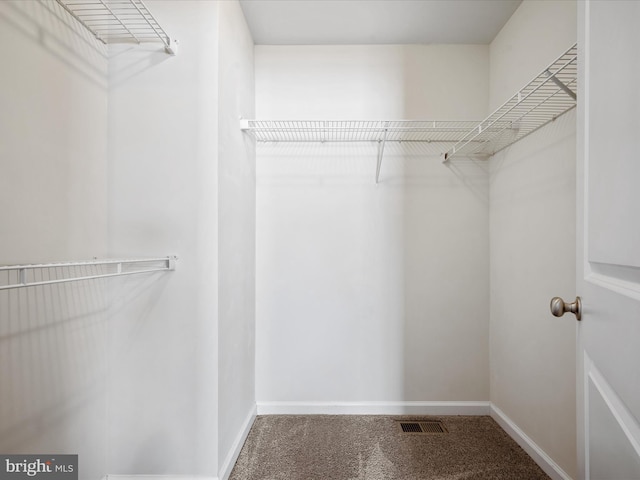 spacious closet with carpet floors