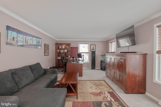 carpeted living room featuring ornamental molding