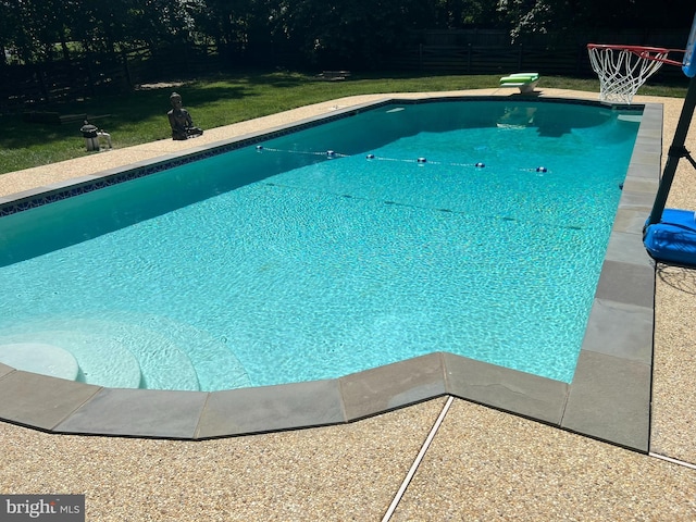 view of swimming pool with a diving board