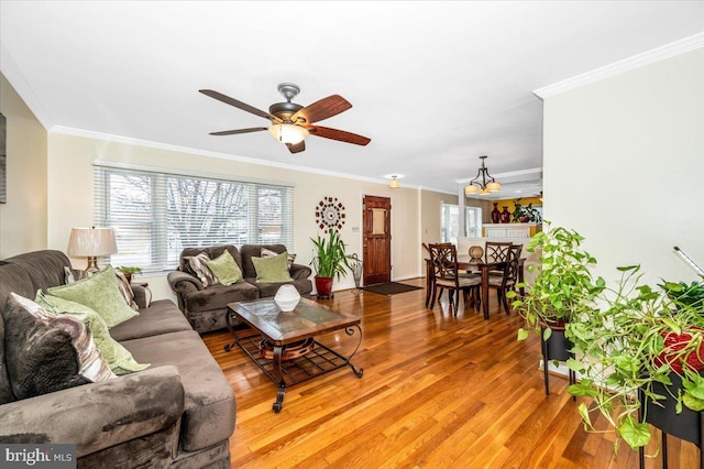 living area with plenty of natural light, ornamental molding, and wood finished floors