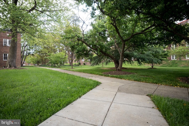 view of property's community featuring a lawn