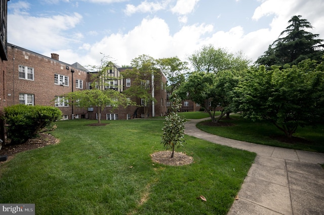 view of community featuring a yard