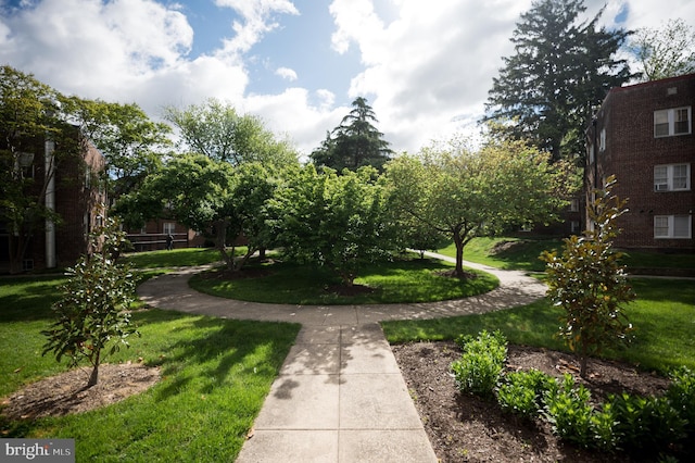 view of home's community featuring a lawn