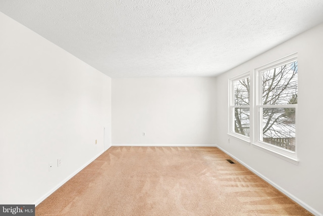 unfurnished room featuring light colored carpet and a textured ceiling