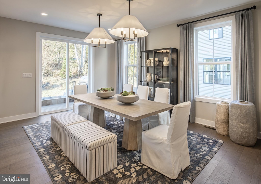 dining room with dark hardwood / wood-style flooring and a wealth of natural light