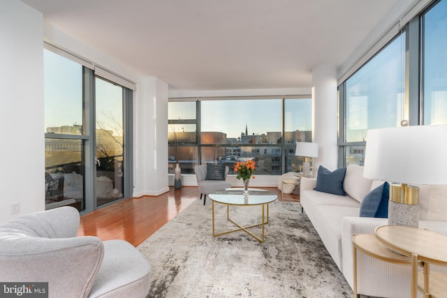 living room with hardwood / wood-style floors