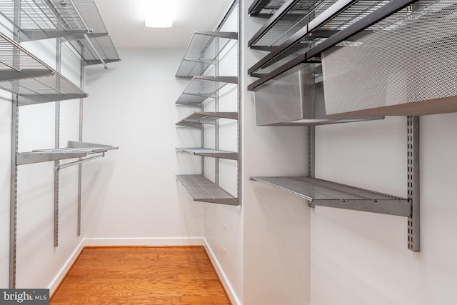 walk in closet featuring light wood-type flooring