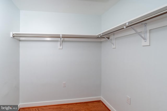 spacious closet featuring hardwood / wood-style flooring