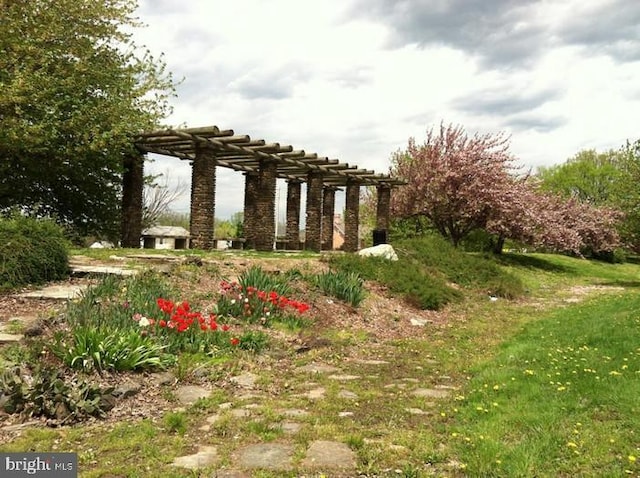 view of yard featuring a pergola