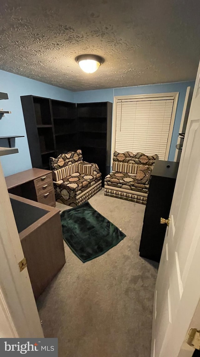 carpeted bedroom with a textured ceiling