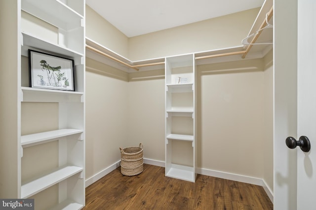 walk in closet featuring dark hardwood / wood-style floors