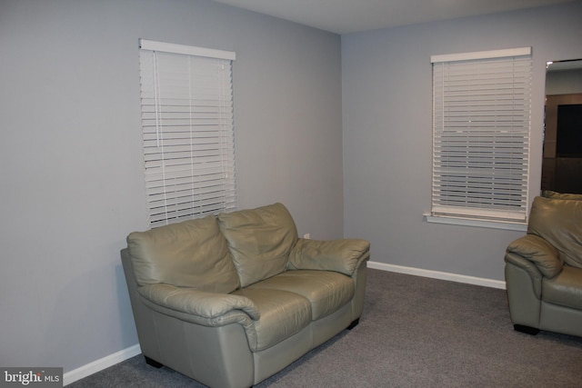 living area with dark carpet