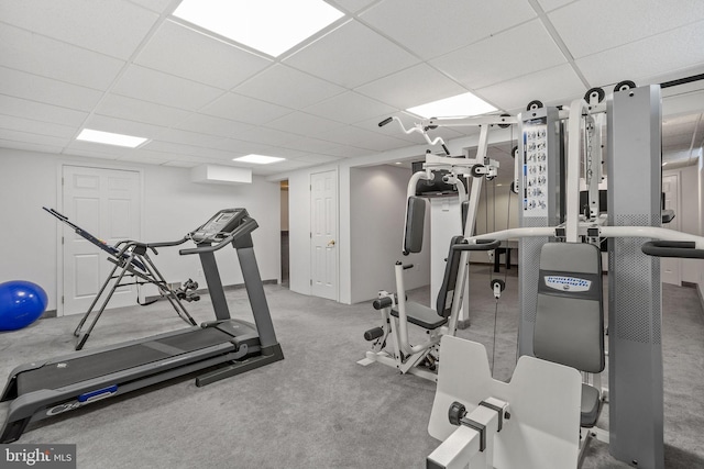 exercise area with carpet and a drop ceiling