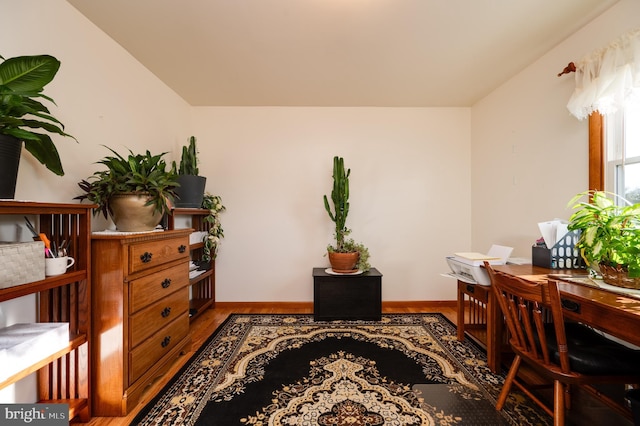 office space with hardwood / wood-style flooring