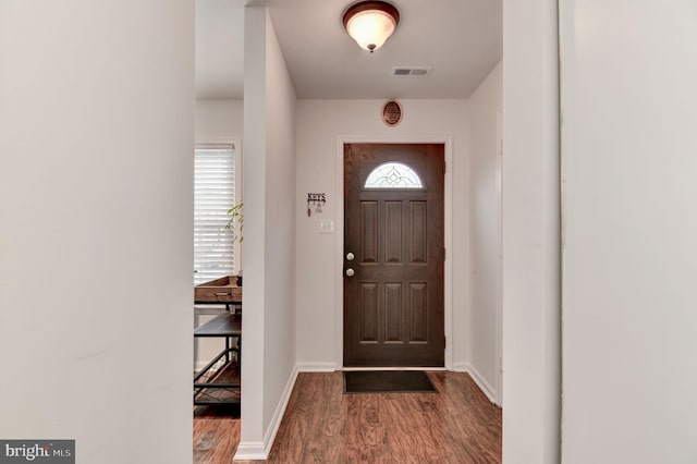 entryway featuring wood-type flooring